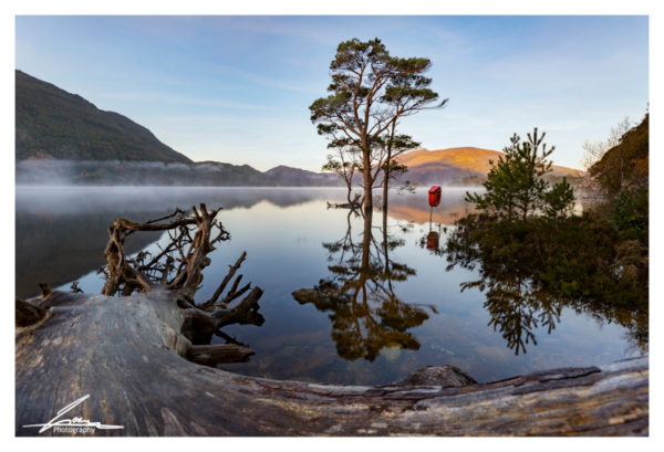 Foggy Muckross lake