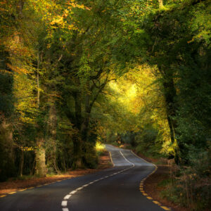 Yellow road Killarney