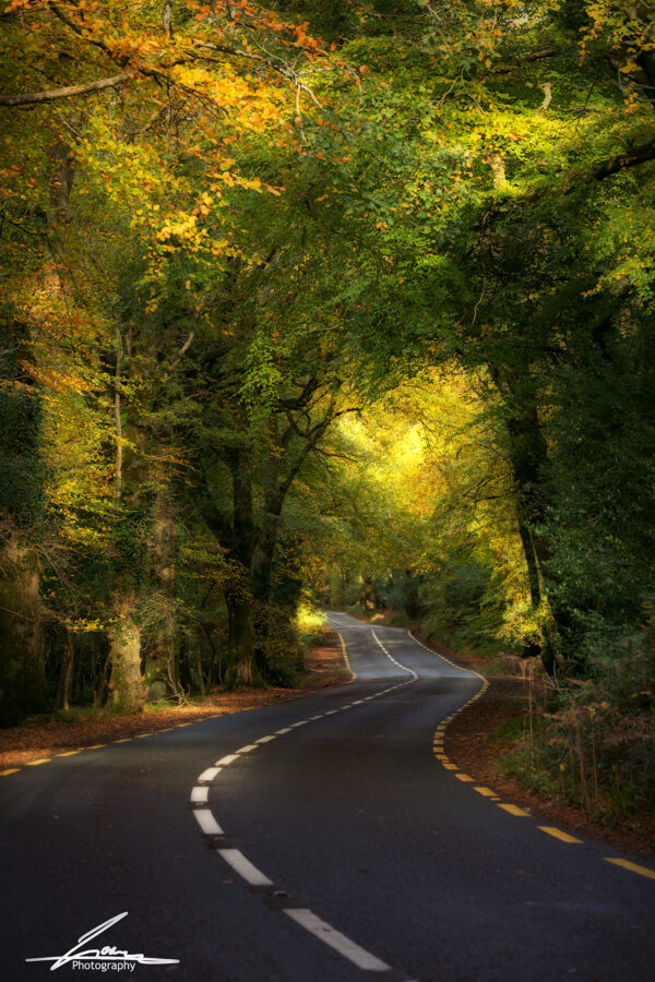 Yellow road Killarney